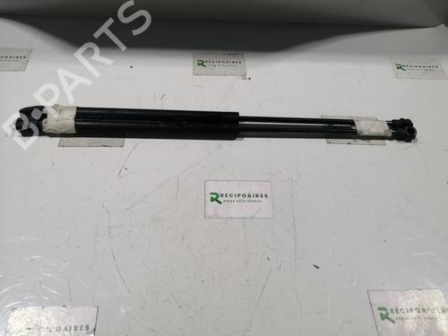 Amortecedor da mala AUDI A3 (8L1) [1996-2006]  31730141