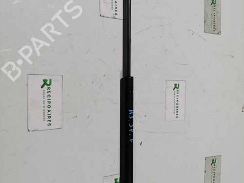 Used Hood lift support AUDI A3 (8L1) [1996-2006]  31730142