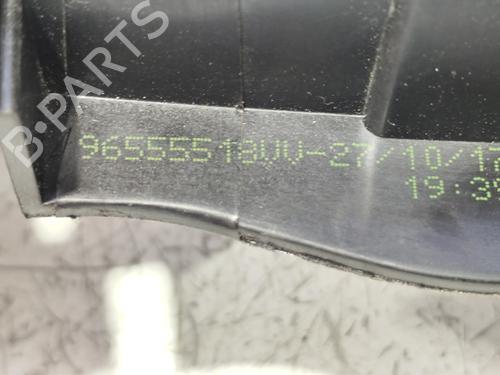 Rear left exterior door handle PEUGEOT 208 I (CA_, CC_)  | BP31743669C130 
