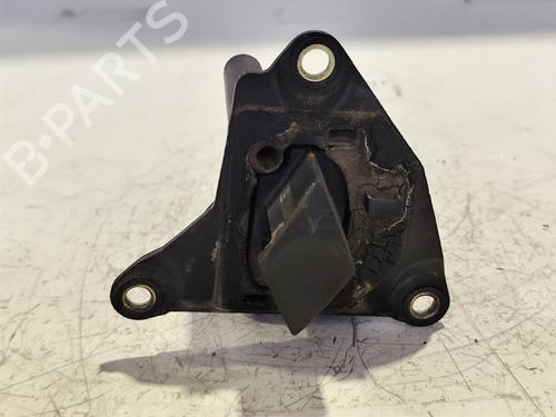 Used Tailgate handle RENAULT CLIO II (BB_, CB_) [1998-2016]  31740613