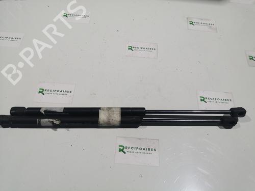Used Tailgate lift support RENAULT MEGANE I (BA0/1_) [1995-2004]  31729751