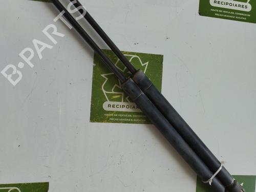 Used Tailgate lift support RENAULT CLIO II (BB_, CB_) [1998-2016]  31728594