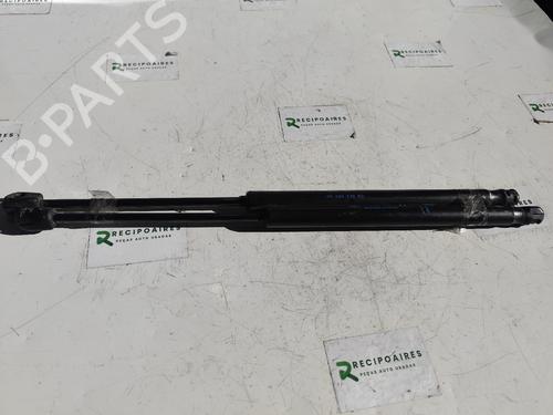 Used Tailgate lift support Tailgate lift support CITROËN C3 I (FC_, FN_) [2002-2013] 31731754 31731754