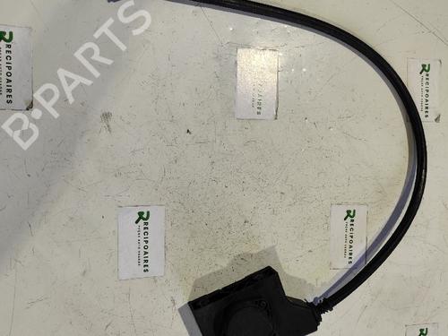 Used Pedal RENAULT SCÉNIC I MPV (JA0/1_, FA0_) [1999-2010]  31731781