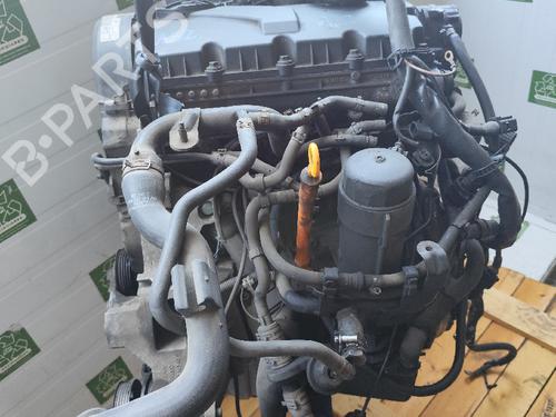 Used Engine SEAT IBIZA III (6L1) [2002-2009]  31738703