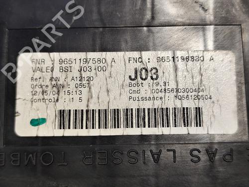 Electronic module PEUGEOT 307 (3A/C) | BP31739402M83