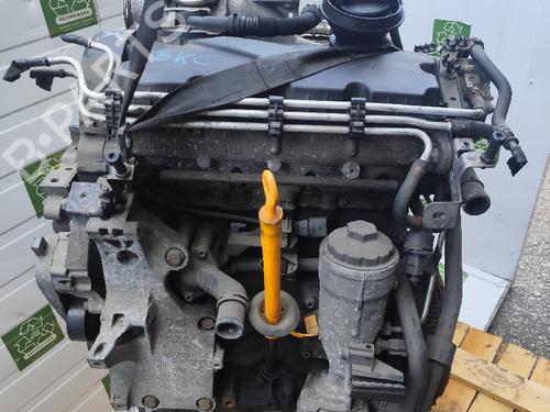 Used Engine VW GOLF V (1K1) [2003-2010]  31738704