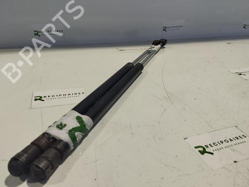 Gasdæmper bagklap PEUGEOT 307 SW (3H) [2002-2009]  31740008