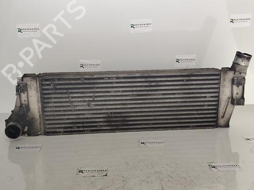 Intercooler RENAULT MEGANE II Coupé-Cabriolet (EM0/1_) [2003-2010]  31738872