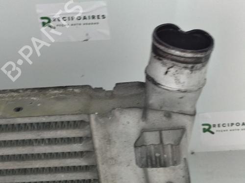 Intercooler RENAULT MEGANE II Coupé-Cabriolet (EM0/1_)  | BP31738872M30 