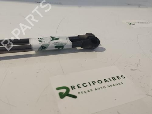 Tailgate lift support BMW 1 Coupe (E82) | BP31739096C138