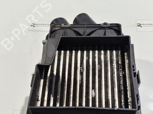 Intercooler RENAULT MEGANE I (BA0/1_) | BP31737747M30