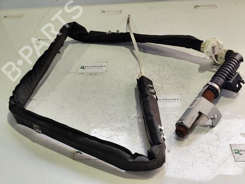 Used Right curtain airbag RENAULT SCÉNIC II (JM0/1_) [2003-2010]  31740522