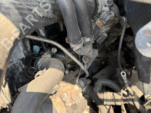 Engine IVECO DAILY IV Platform/Chassis  | BP31740771M1 