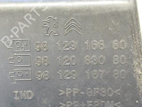 Fuel flap CITROËN C3 III (SX)  | BP31743677C131 