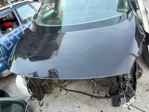 Used Hood RENAULT SCÉNIC III (JZ0/1_) 1.6 dCi (JZ00, JZ12) (130 hp) 33030114