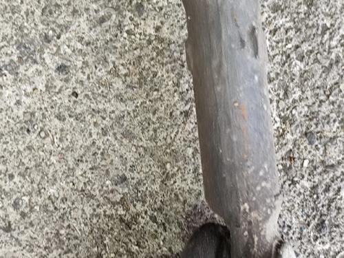 Steering rack FORD TRANSIT Bus (E_ _) 2.5 DI (EBL, EDL, EDS, ESL, ESS) | BP37438870M22 - Image 2