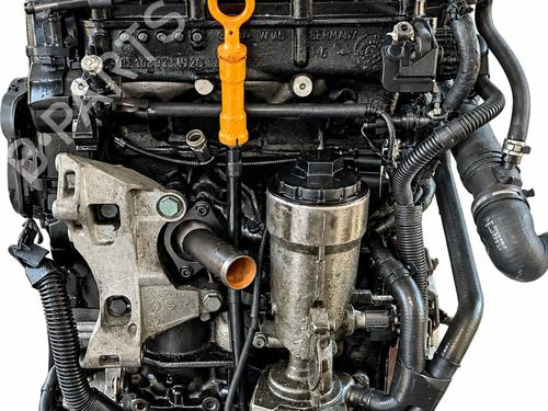Used Engine Engine SEAT IBIZA III (6L1) [2002-2009] 31738523 31738523