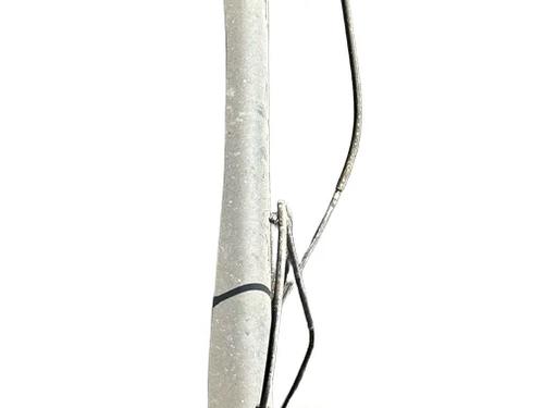rear-axle-ford-fiesta-vi-cb1-ccn-2008-40040002 main image