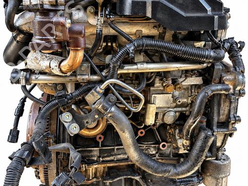 Engine NISSAN ALMERA II Hatchback (N16) 2.2 Di | BP40089863M1 - Image 5