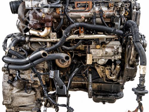 Engine NISSAN ALMERA II Hatchback (N16) 2.2 Di | BP40118345M1 - Image 3