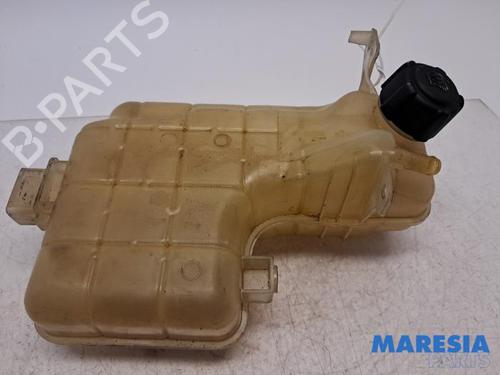 Ekspansjonstank RENAULT ESPACE IV (JK0/1_) 2.0 Turbo (JK0A, JK0B, JK0N) (163 hp) 31397455