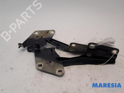 Used Hinge/Door check strap RENAULT MEGANE III Coupe (DZ0/1_) 2.0 TCe (DZ0K) (180 hp) 31523647