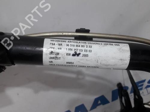 Switch PEUGEOT 307 CC (3B) 2.0 16V | BP31530282I30 