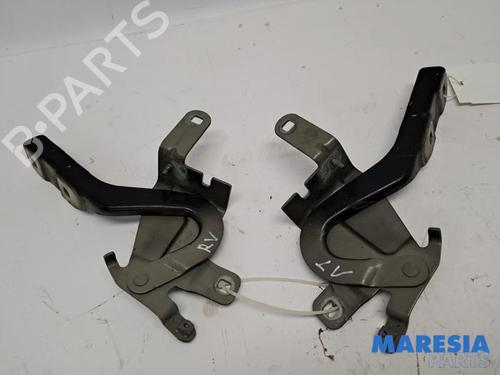 Used Hinge/Door check strap Hinge/Door check strap RENAULT CLIO IV (BH_) 0.9 TCe 90 (BHNF, BHMA, BHMH, BHJK, BHJR) (90 hp) 40199627 40199627