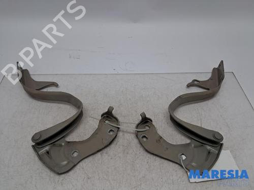 Used Hinge/Door check strap Hinge/Door check strap 38459380 38459380