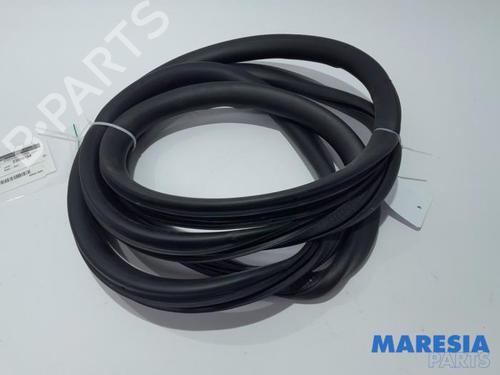 rubber-door-seal-peugeot-expert-van-v_-2016-31477702 main image