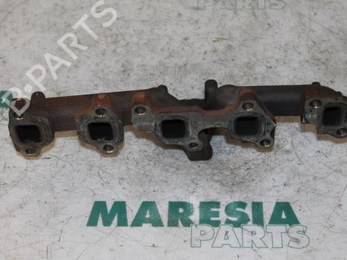Used Exhaust manifold FIAT PUNTO EVO (199_) 1.3 D Multijet (84 hp) 31460015
