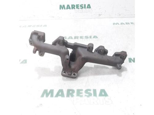 Used Exhaust manifold FIAT PUNTO EVO (199_) 1.3 D Multijet (84 hp) 31480773