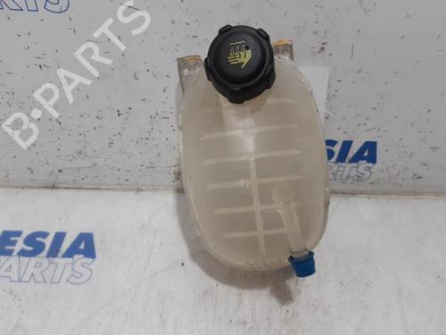 Ekpansionstank RENAULT CLIO V (B7_) 1.0 TCe 100 (B7MT) | BP31449020C120