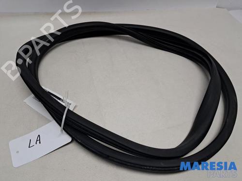 Gummiliste RENAULT CAPTUR I (J5_, H5_) 1.2 TCe 120 (120 hp) 31816452