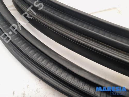 Gummiliste RENAULT ZOE (BFM_) ZOE | BP31429436C142