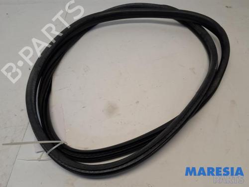 BP31455899C162 main image