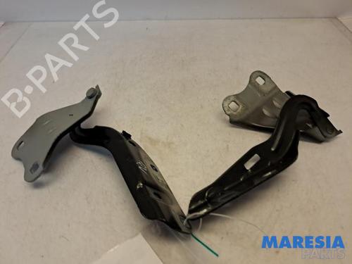 Dørhængsel/Dørbegrænser RENAULT TWINGO II (CN0_) 1.2 16V (CN0K, CN0V, CN0A) (76 hp) 31471798