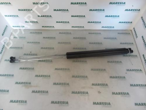 tailgate-lift-support-peugeot-207-cc-wd_-2007-2008-2009-2010-2011-2012-2013-2014-2015-31432397 main image