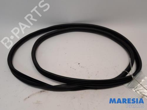 Gummiliste PEUGEOT PARTNER Box Body/MPV (K9) 1.5 BlueHDi 100 (102 hp) 31509367