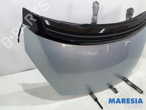 Used Hood RENAULT ESPACE IV (JK0/1_) 2.0 (JK0A, JK1D, JK0N) (170 hp) 31489946