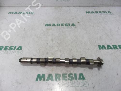 Used Other FIAT PANDA (169_) 1.2 (169.AXB11, 169.AXB1A) (60 hp) 31452785