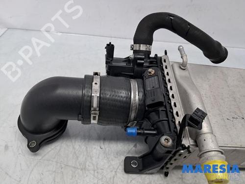 Intercooler ALFA ROMEO GIULIA (952_) 2.9 Quadrifoglio (952AAM24) | BP31461104M30 