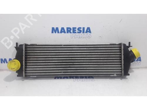 Used Intercooler RENAULT TRAFIC II Van (FL) 2.0 dCi 115 (FL01, FL0U, FL00, FL0H, FL0M) (114 hp) 31422685