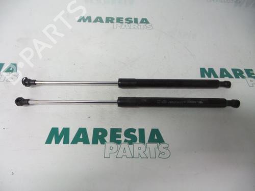 Used Tailgate lift support RENAULT CLIO III (BR0/1, CR0/1) 1.5 dCi (C/BR0G, C/BR1G) (68 hp) 31389611