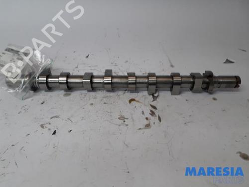 Other RENAULT KANGOO Express (FW0/1_) 1.5 dCi 90 (FW0G, FW05, FW08, FW11) | BP31478361O1 - Image 2