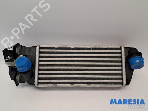 Used Intercooler Intercooler FIAT 500 C (312_) 0.9 (312AG1A) (86 hp) 33803038 33803038