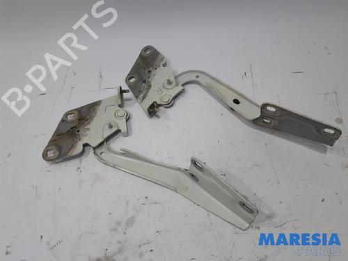 Hinge/Door check strap RENAULT MEGANE III Coupe (DZ0/1_) 1.2 TCe (DZ2B, DZ11) | BP31429130C146