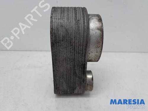 Other RENAULT MEGANE III Grandtour (KZ0/1) 1.5 dCi (KZ09, KZ0D, KZ1G, KZ29, KZ14, KZ1W, KZ10, KZ1F,... | BP31416743O1