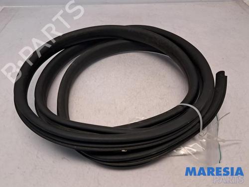 Gummilist DACIA SANDERO II TCe 90 (B8M1, B8MA, B8AC) (90 hp) 31396442